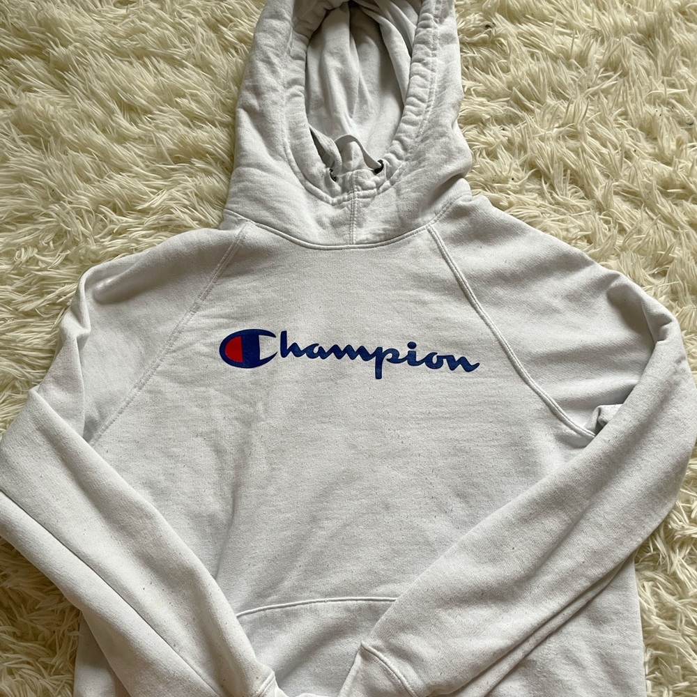 Champion Powerblend Graphic Hoodie (BRAND NEW!)